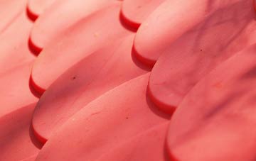 Cottisford plastic roof costs